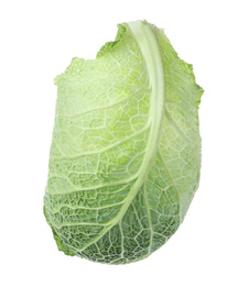 Fresh savoy cabbage leaf isolated on white