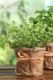 Photo of Aromatic potted oregano and basil on wooden table, closeup