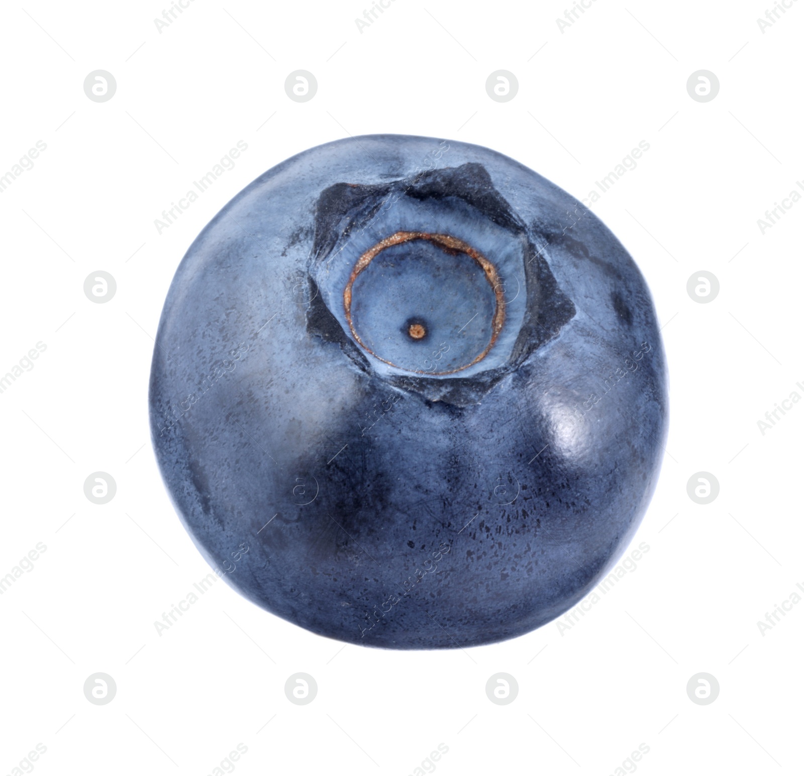 Photo of One fresh ripe blueberry isolated on white