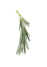 Photo of Fresh green rosemary leaves on white background