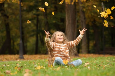 Happy girl playing with dry leaves on green grass in autumn park