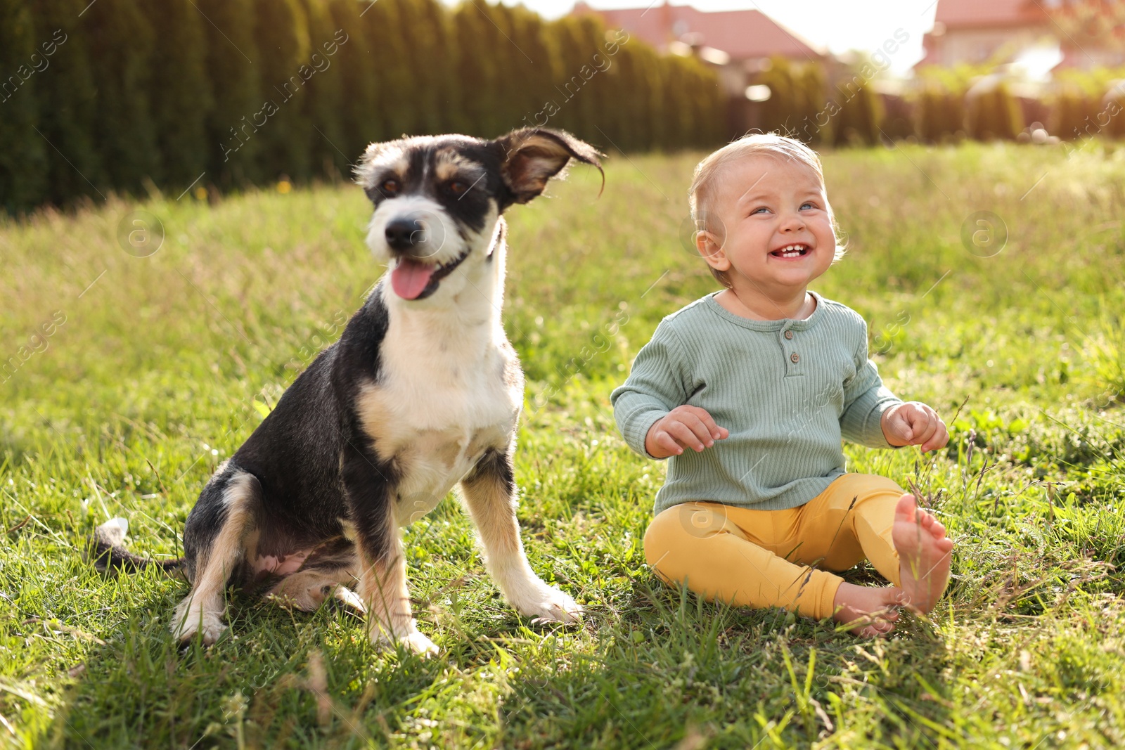 Photo of Adorable baby and furry little dog on green grass outdoors