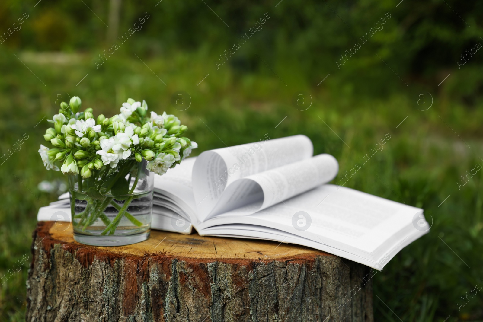 Photo of Open book and glass with flowers on tree stump outdoors