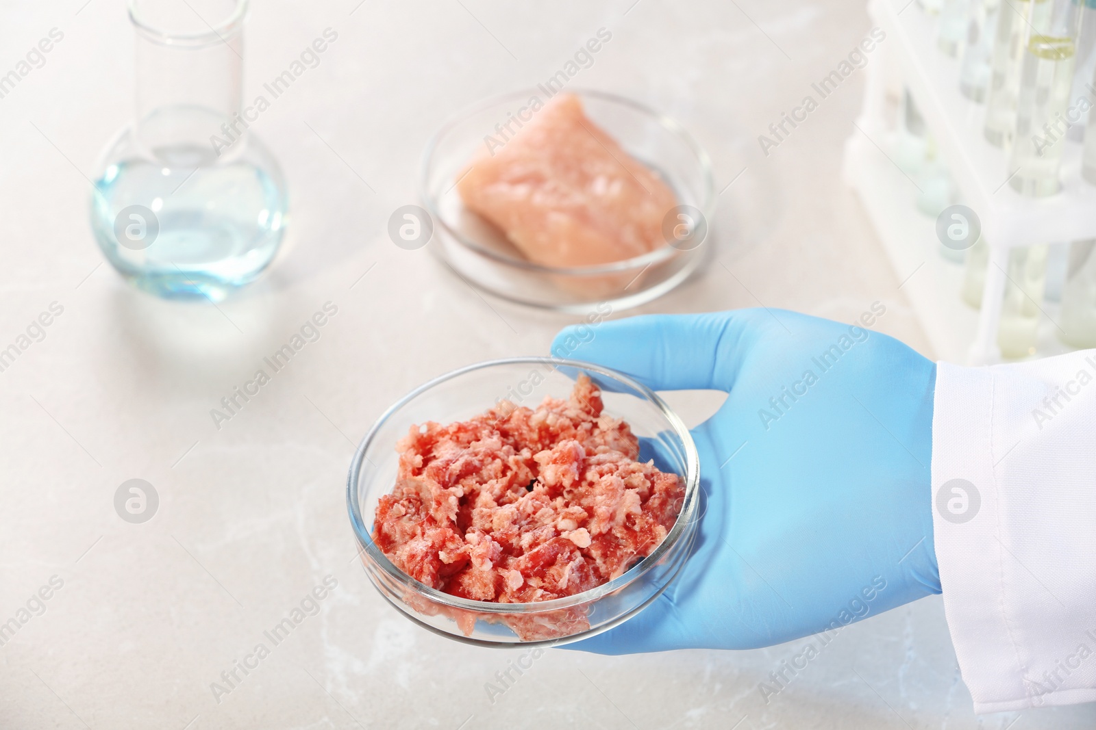 Photo of Scientist holding Petri dish with forcemeat sample over table, closeup