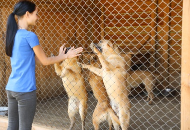 Photo of Woman near cage with homeless dogs in animal shelter. Concept of volunteering