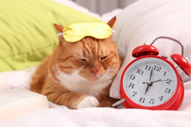 Photo of Cute ginger cat with sleep mask, alarm clock and book resting on bed