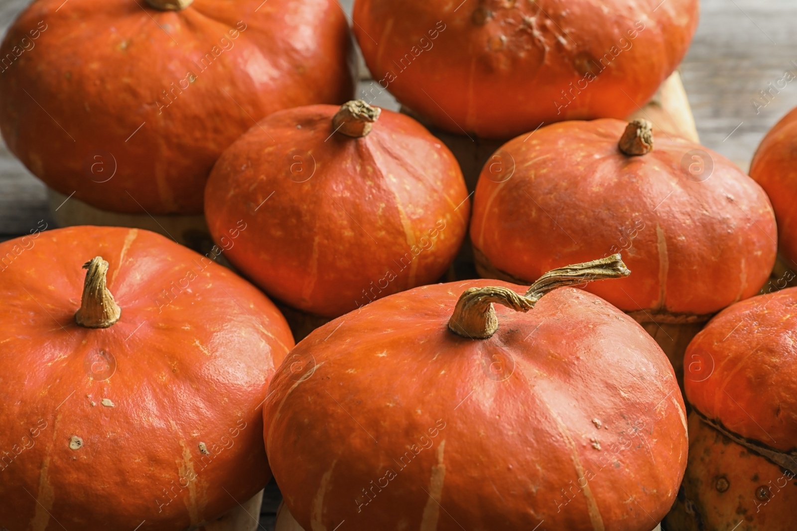 Photo of Many orange pumpkins as background, closeup. Autumn holidays