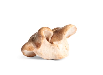 Fresh wild mushrooms on white background. Edible fungi