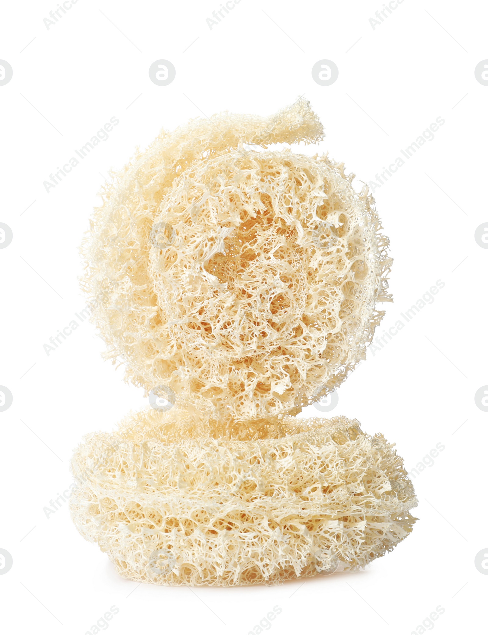 Photo of Natural shower loofah sponges on white background