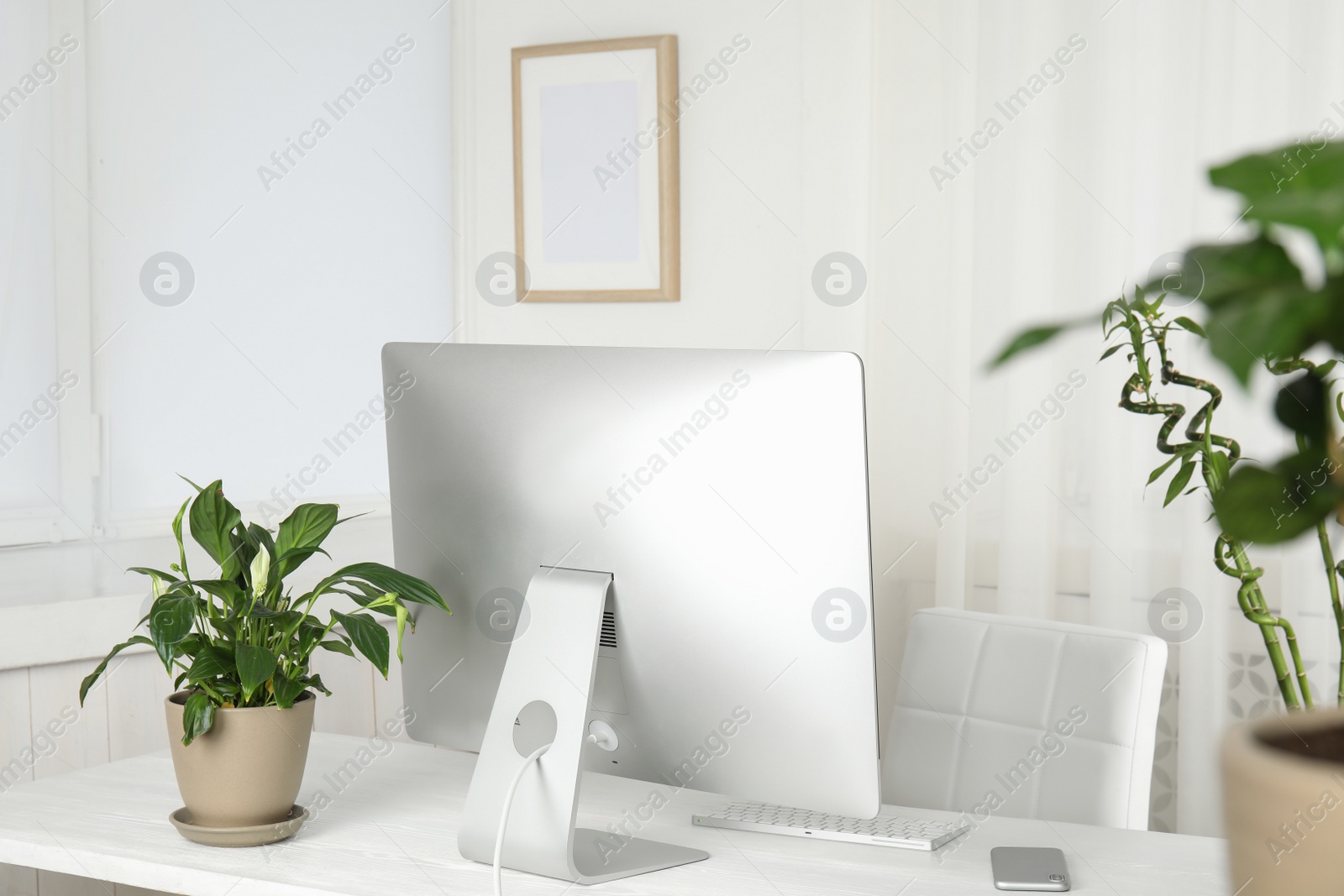 Photo of Office interior with houseplants and computer monitor on table