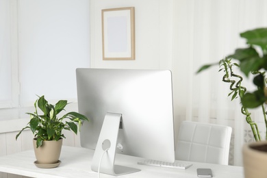 Office interior with houseplants and computer monitor on table