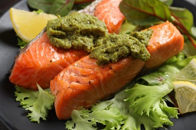 Photo of Tasty cooked salmon with pesto sauce on black plate, closeup