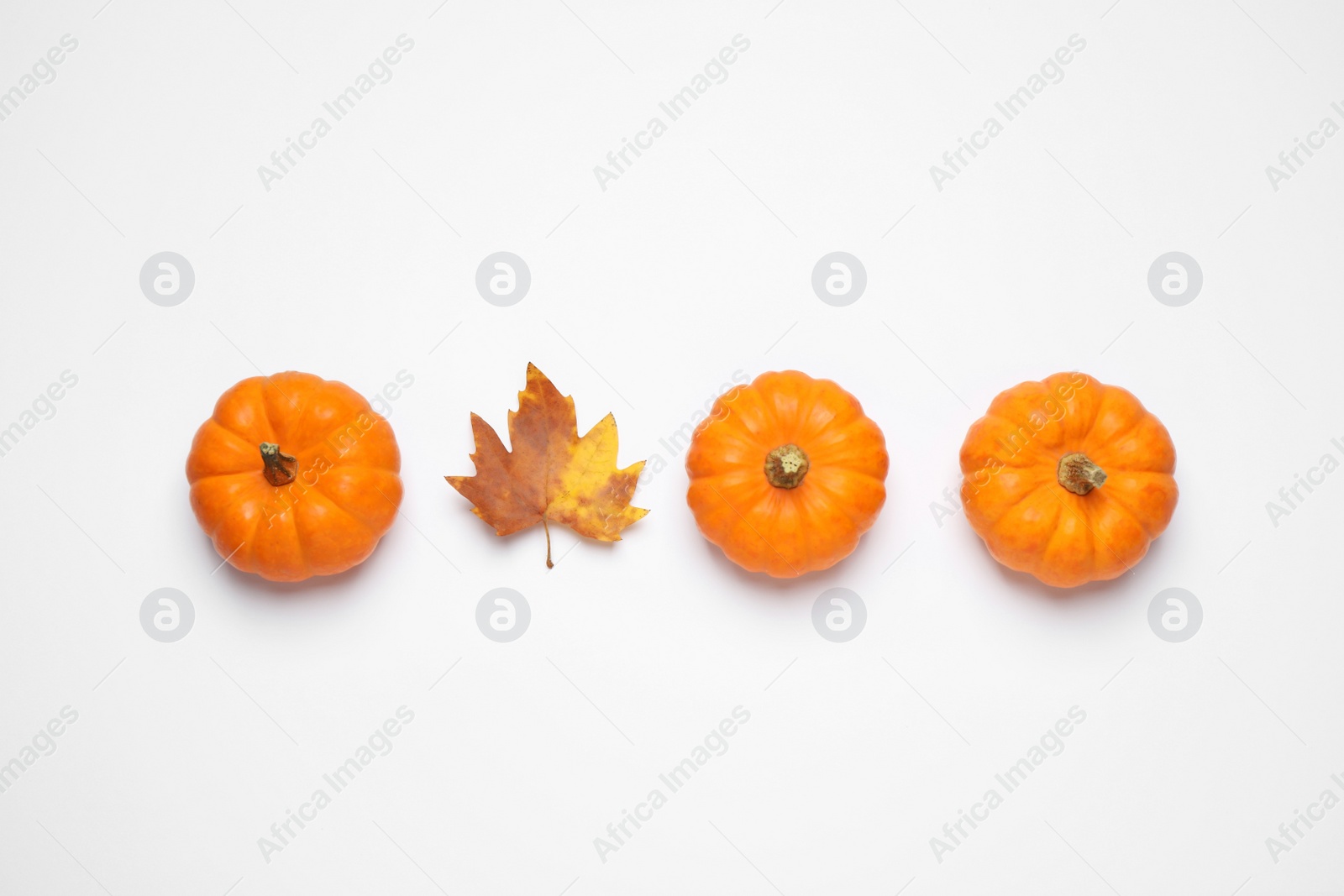 Photo of Composition with pumpkins and autumn leaf on white background, top view