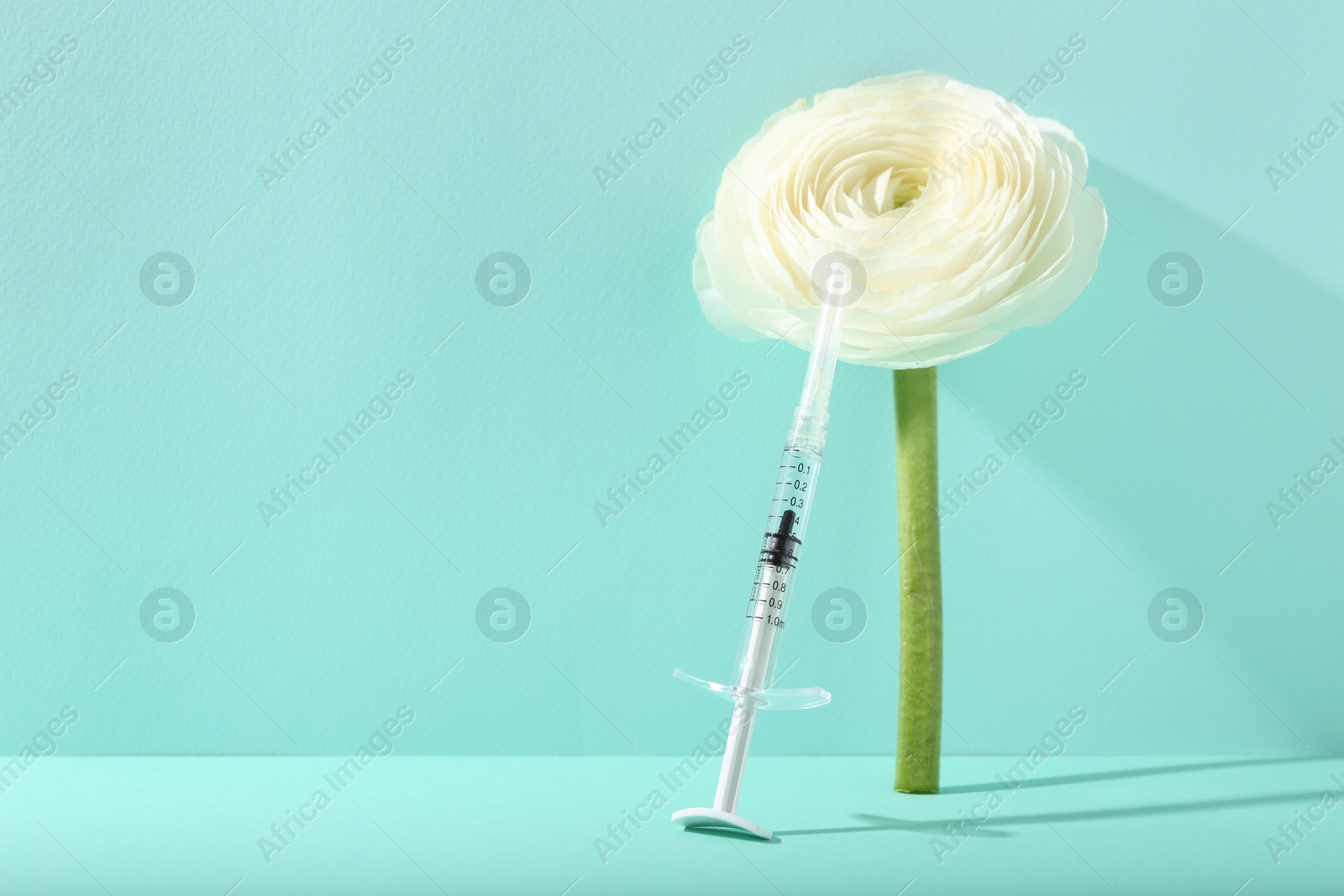 Photo of Cosmetology. Medical syringe and ranunculus flower on turquoise background, space for text