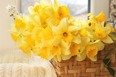 Photo of Beautiful yellow daffodils in wicker basket, closeup