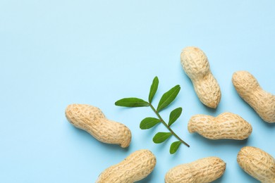 Fresh unpeeled peanuts and twig on light blue background, flat lay. Space for text