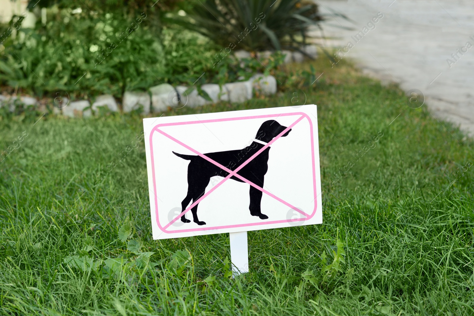 Photo of Sign board No Dogs Allowed on green grass outdoors