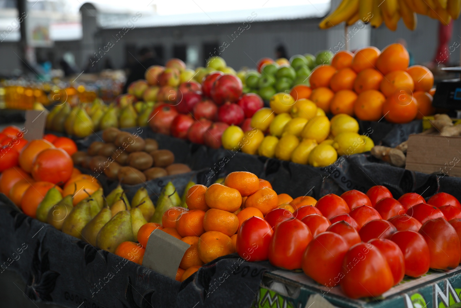 Photo of Tasty fresh fruits on counter at wholesale market