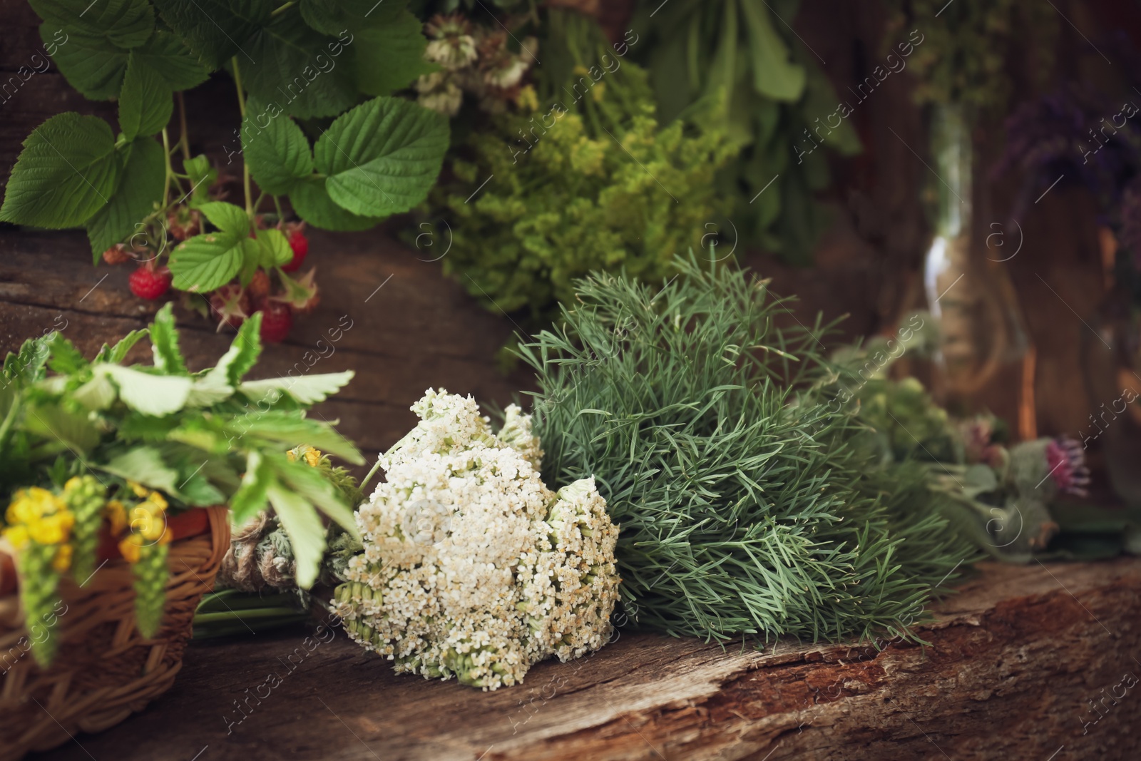 Photo of Bunches of different beautiful dried flowers on wooden table