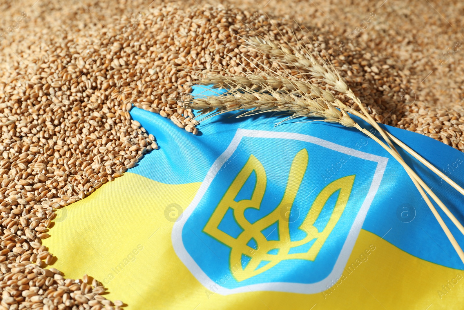 Photo of National flag of Ukraine on wheat grains, closeup. Global food crisis concept