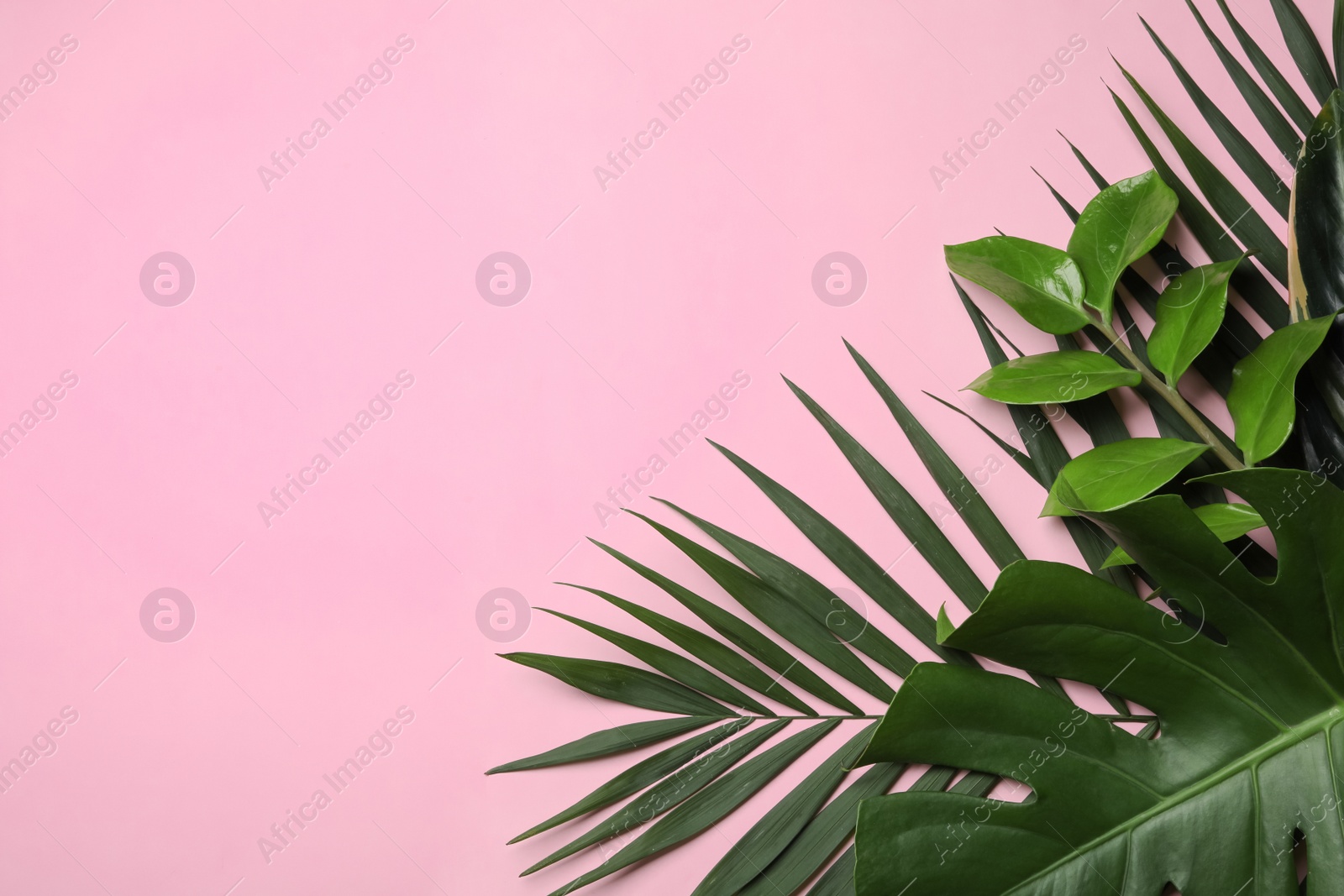 Photo of Flat lay composition with tropical leaves and space for text on color background