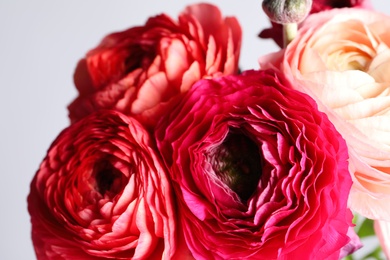 Photo of Beautiful fresh ranunculus flowers on light grey background, closeup