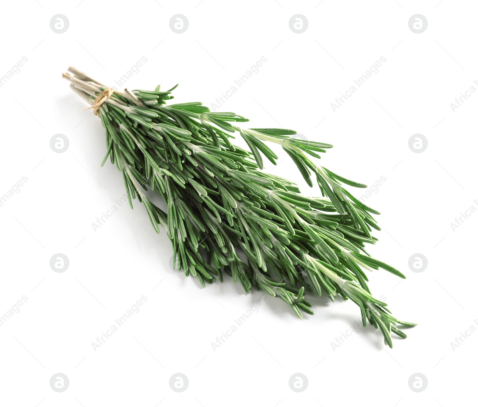 Photo of Fresh rosemary twigs tied with twine on white background