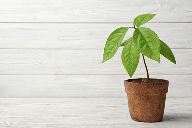 Photo of Young avocado sprout with leaves in peat pot on table against white wooden background. Space for text