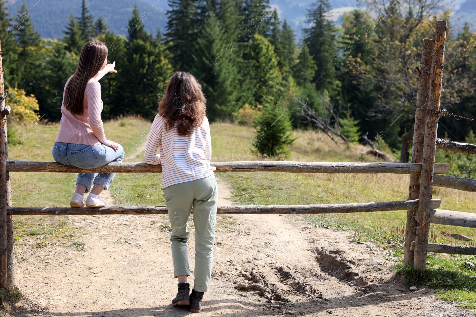 Photo of Women enjoying mountain landscape on sunny day, back view. Space for text