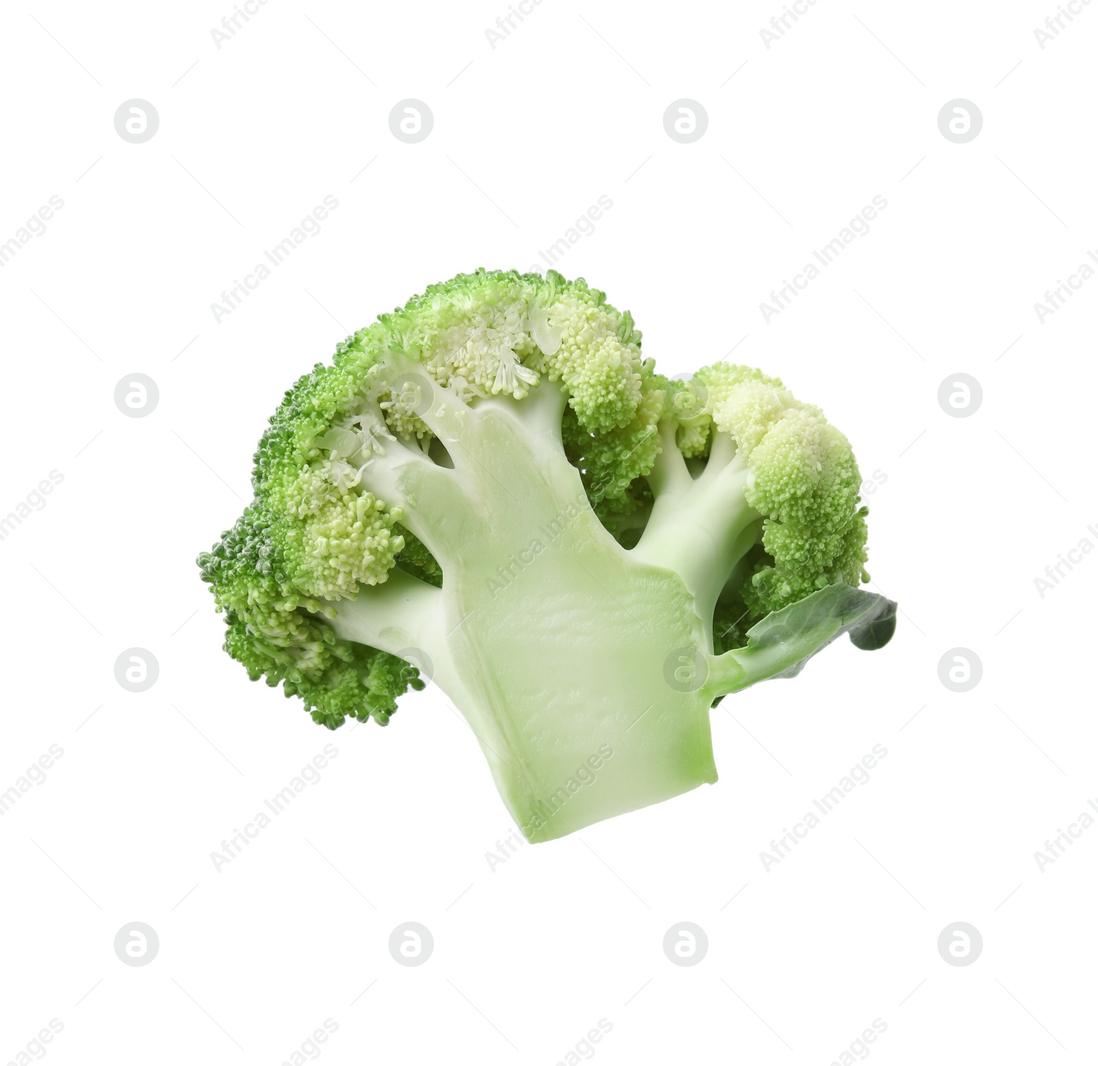 Photo of Cut raw green broccoli isolated on white