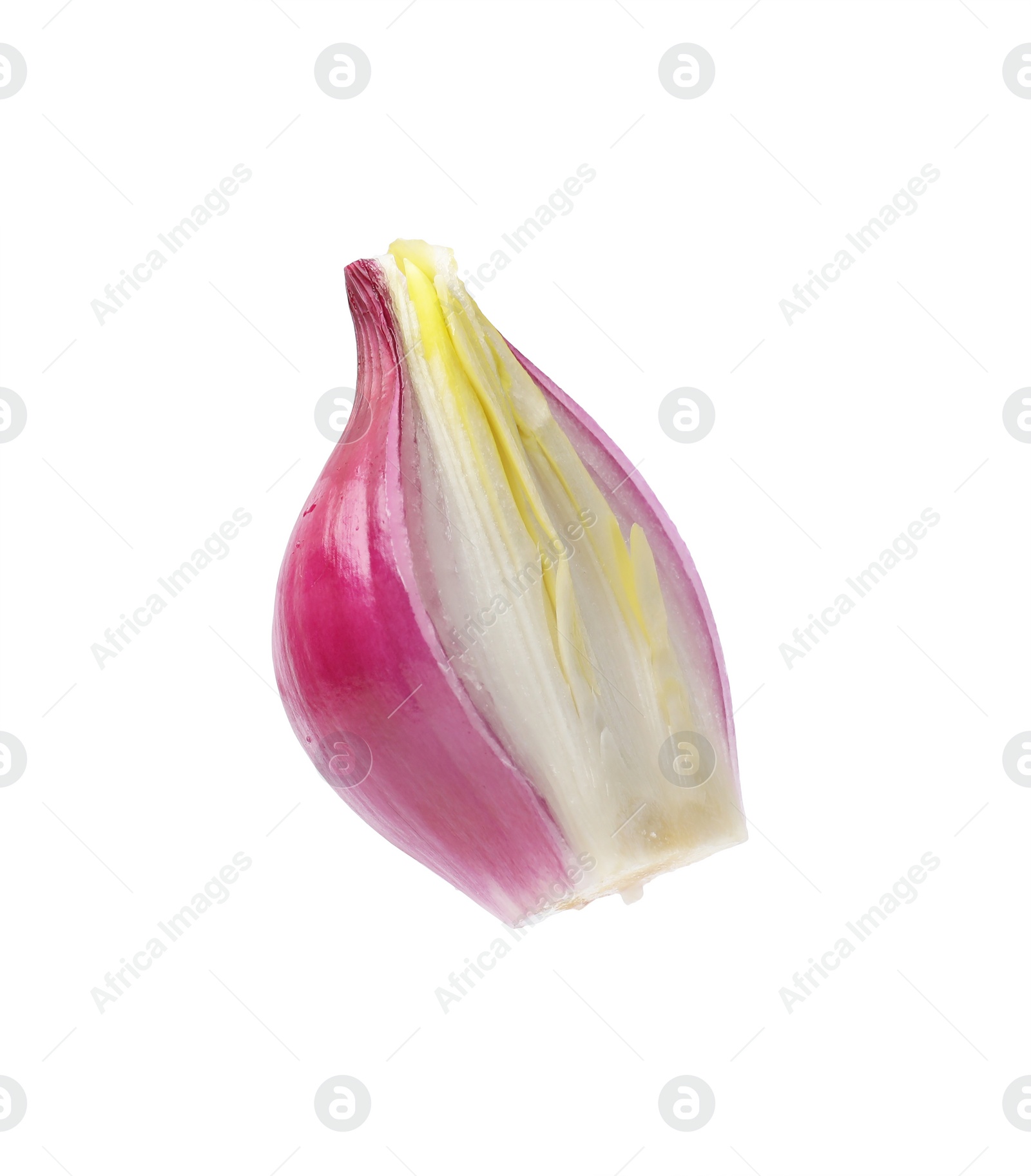 Photo of One piece of fresh onion isolated on white