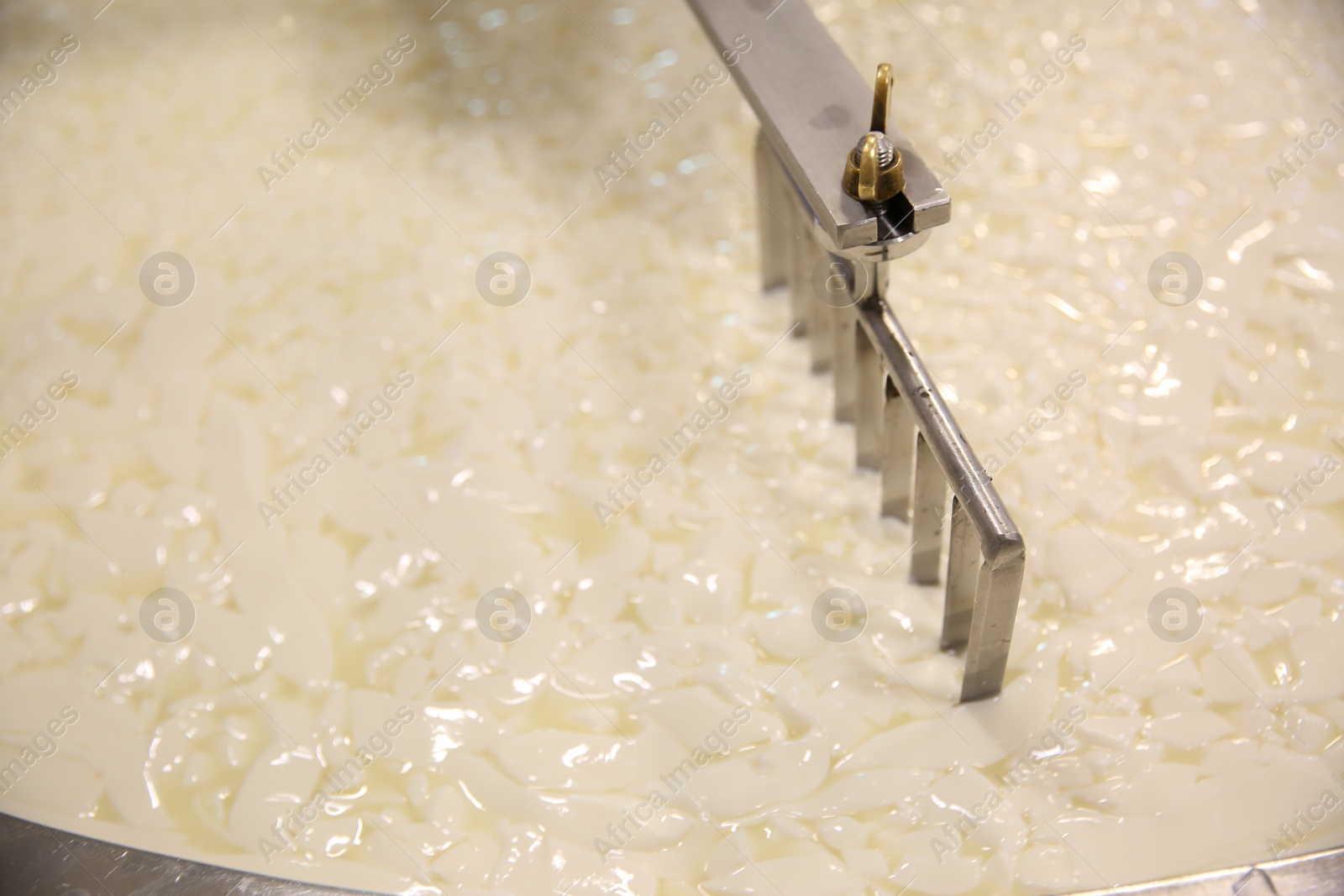 Photo of Curd and whey in tank at cheese factory, closeup