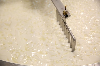 Curd and whey in tank at cheese factory, closeup