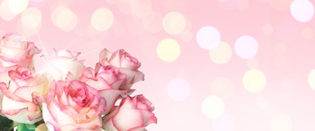 Image of Bouquet of beautiful roses on pink background, space for text. Banner design