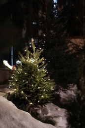 Photo of Beautiful conifer tree with glowing Christmas lights in snow drift on street. Winter holiday