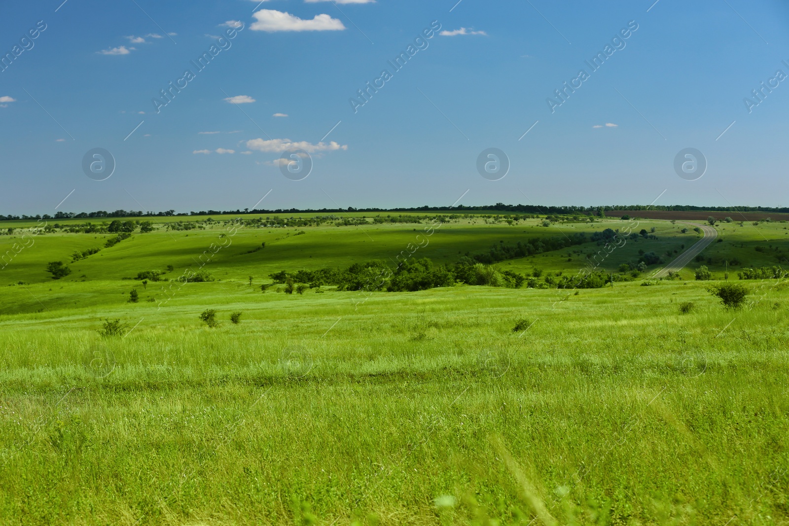 Photo of Beautiful landscape with green grass on sunny day