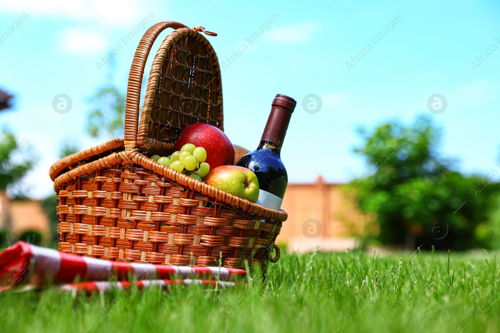 Photo of Picnic basket with fruits, bottle of wine and checkered blanket on green grass in garden. Space for text