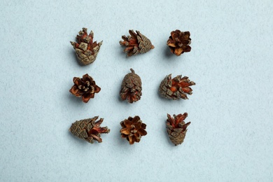 Photo of Flat lay composition with pinecones on light blue background