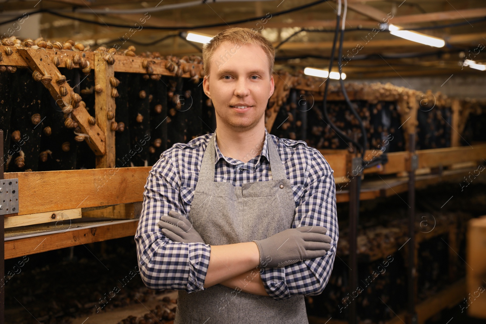 Photo of Worker near stand with snails on farm