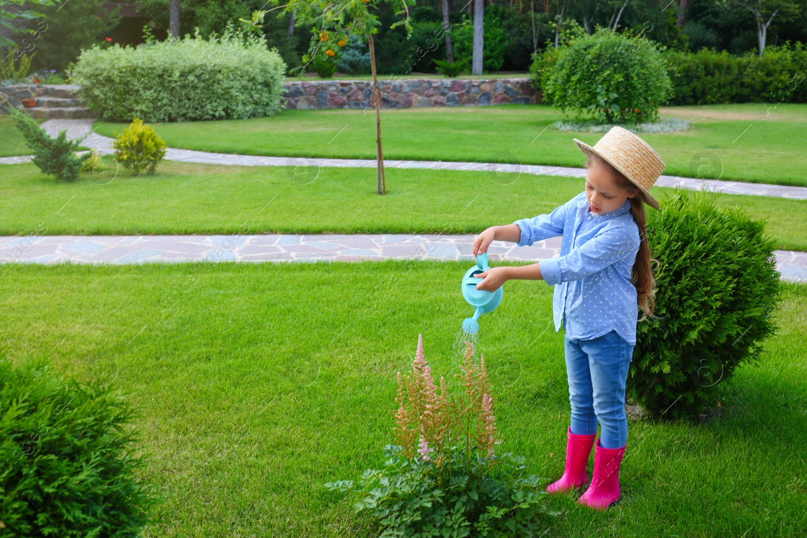 Photo of Little girl watering flowers in backyard. Home gardening