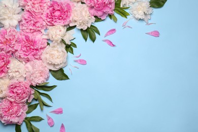 Beautiful peony flowers and green leaves on light blue background, flat lay. Space for text
