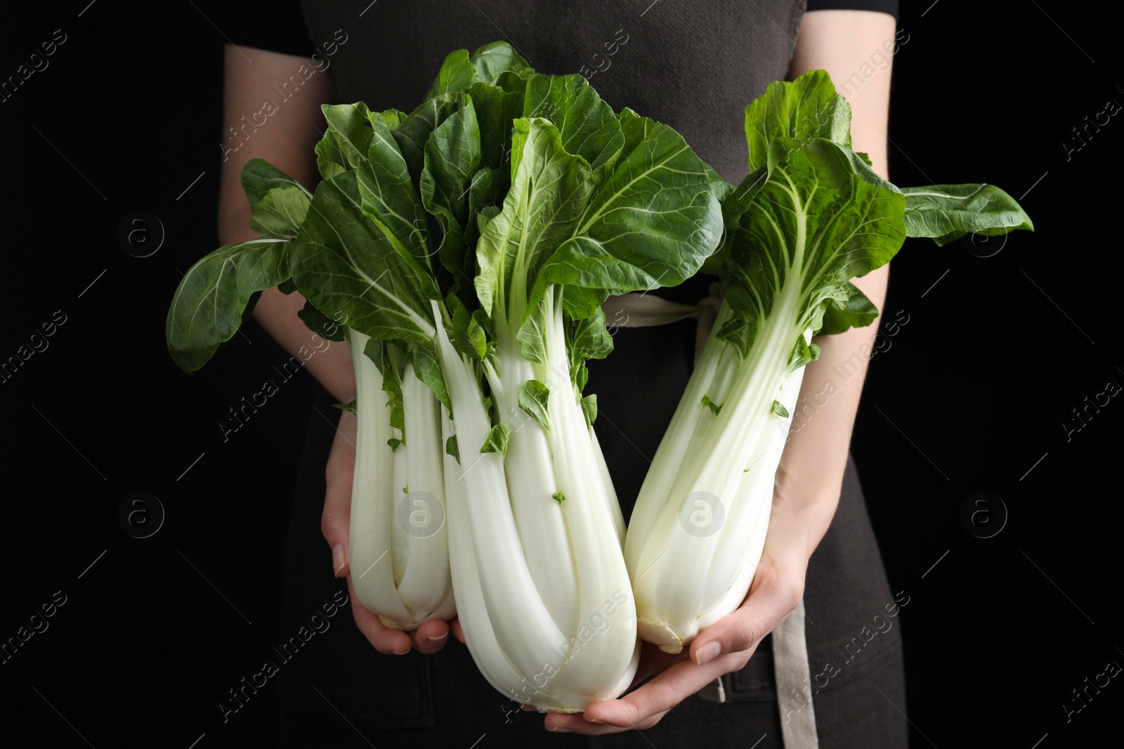 Photo of Woman holding bok choy cabbage on black background, closeup