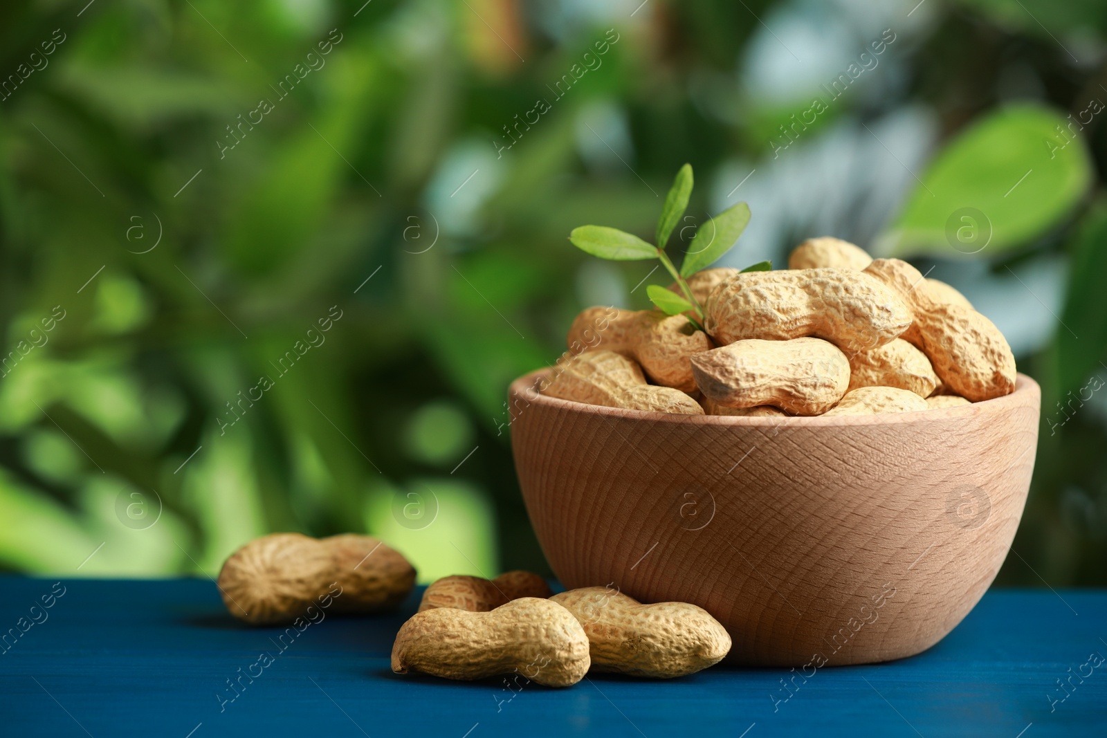 Photo of Fresh unpeeled peanuts in bowl and twig on blue wooden table against blurred background