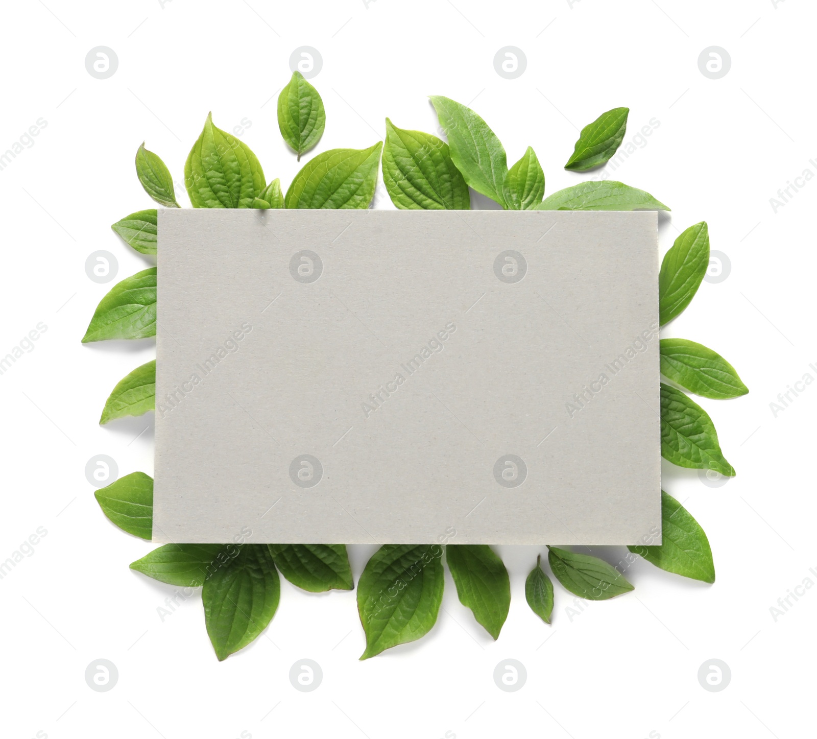 Photo of Blank card and spring green leaves on white background, top view. Space for text