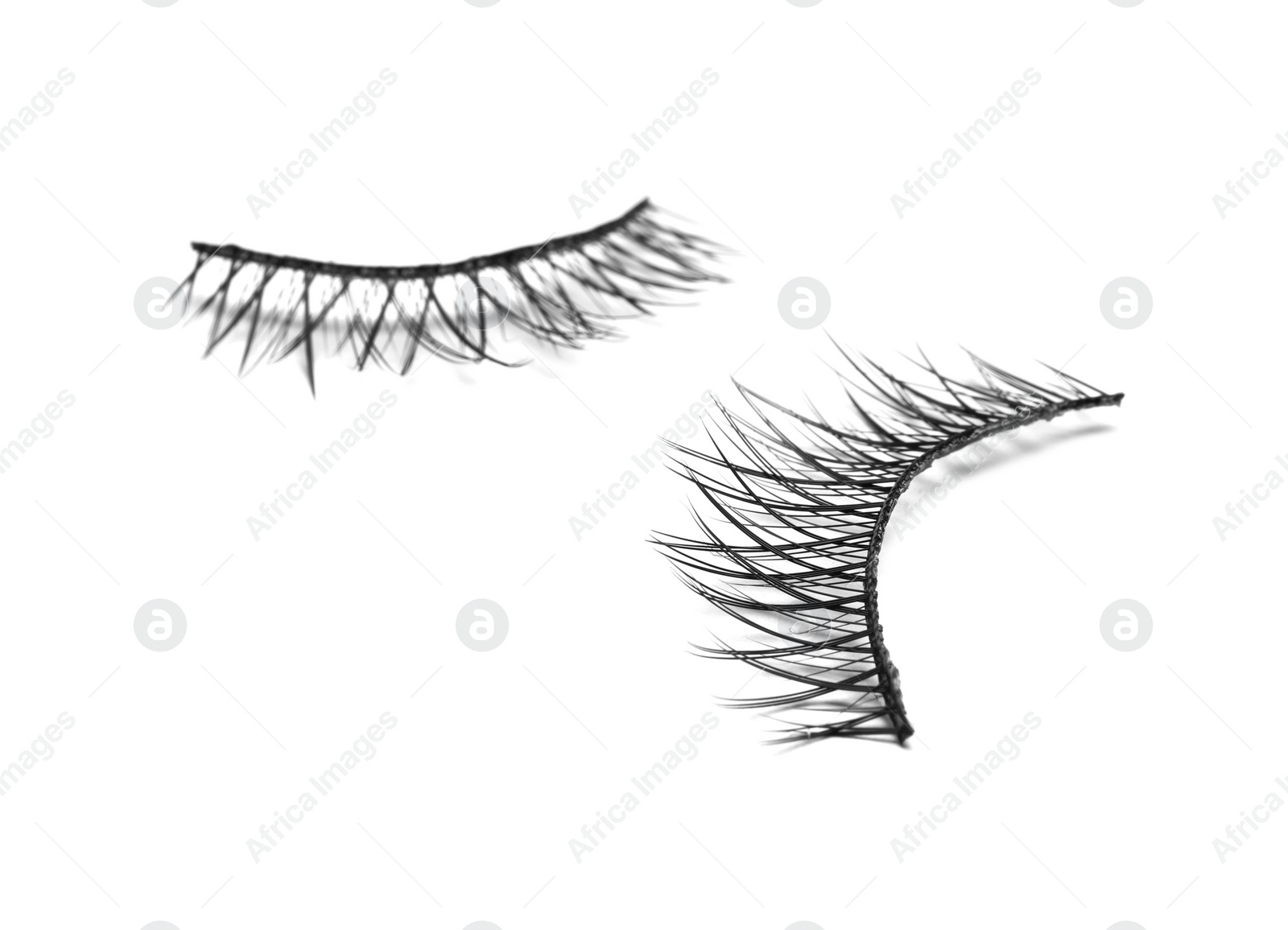 Photo of Beautiful pair of false eyelashes on white background