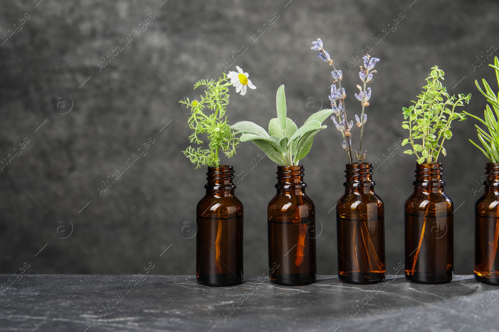 Photo of Bottles with essential oils and plants on grey textured table. Space for text