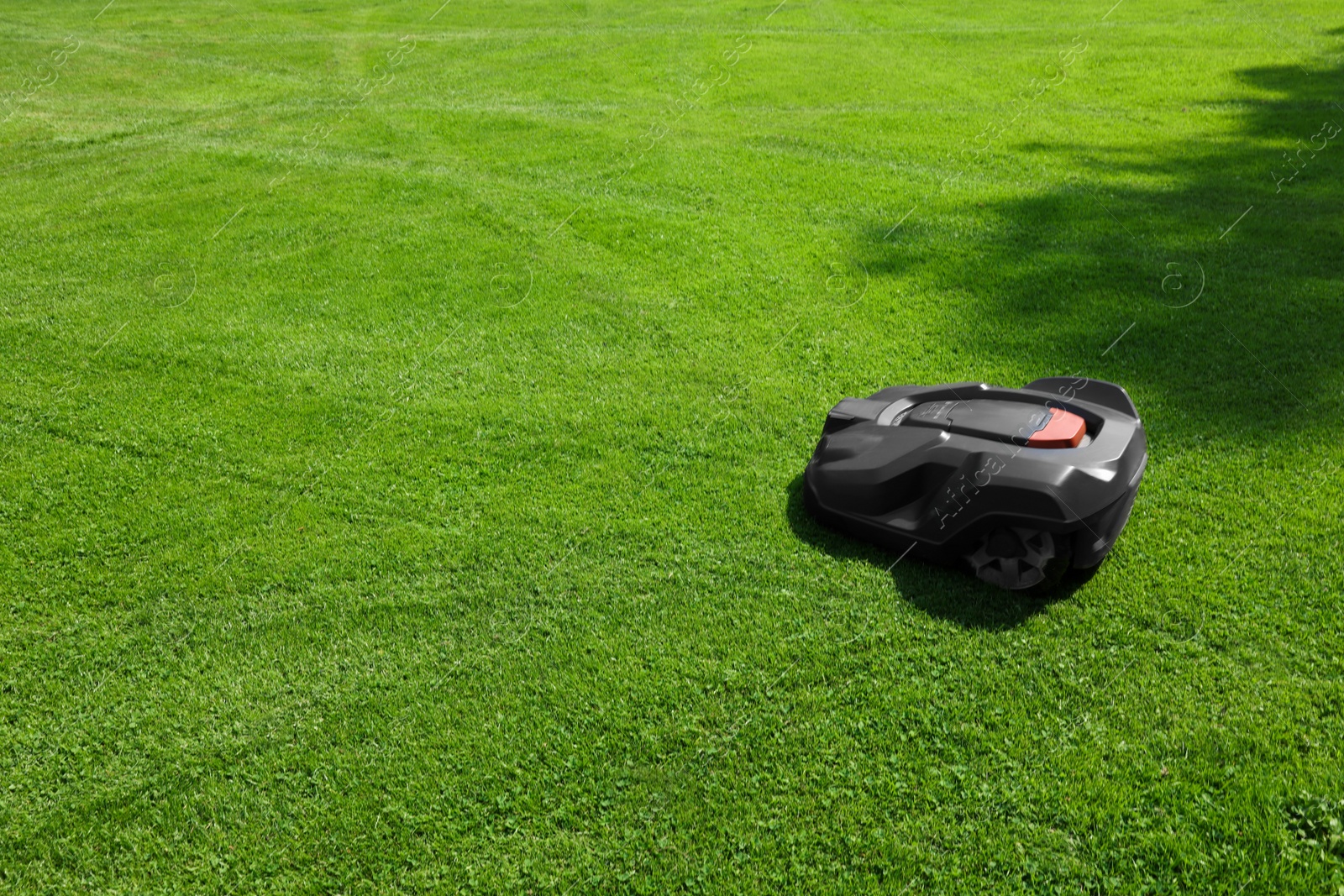 Photo of Modern robot lawn mower on green grass in garden