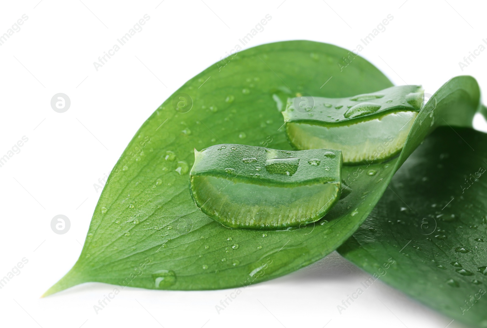 Photo of Fresh aloe vera slices on leaf against white background