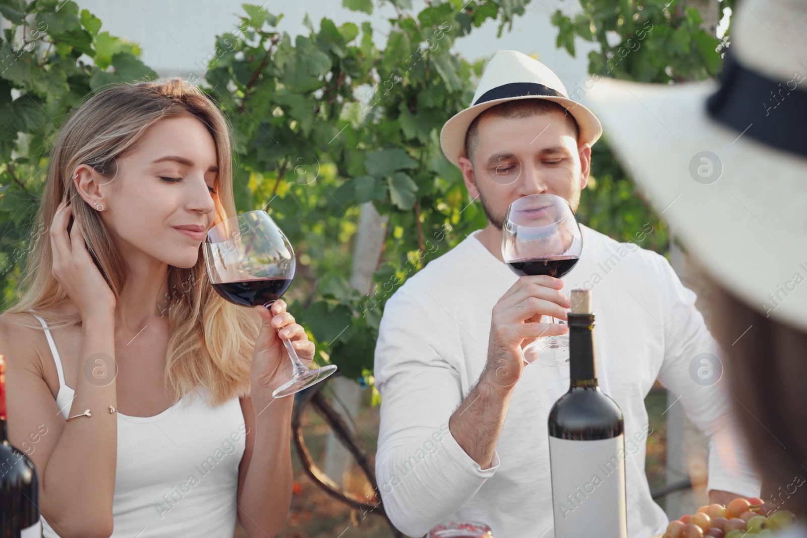 Photo of Friends tasting red wine in vineyard on sunny day