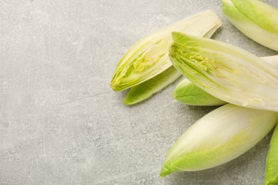 Photo of Fresh raw Belgian endives (chicory) on light grey table, top view. Space for text